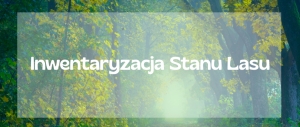 obrazek mwe~uaryzacja Stanu Lasu w Kraju w latach 2025 - 2029 wiecej