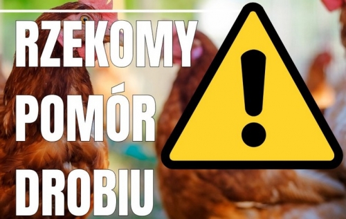 obrazek w{qwządzenie w sprawie zwalczania rzekomego pomoru drobiu na terenie p. kaliskiego wiecej