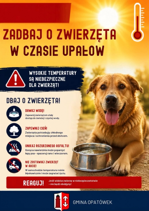 Zdjęcie do aktualności: Zadbaj o zwierzęta w czasie upałów  wiecej
